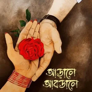 আড়ালে আবডালে (হার্ডকভার)